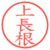 上長根