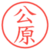 公原