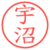 宇沼