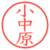 小中原