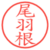 尾羽根