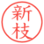 新枝