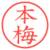 本梅