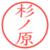 杉ノ原