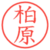 柏原