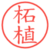 柘植