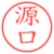 源口