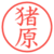 猪原
