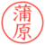 蒲原