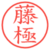 藤極
