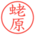 蛯原