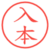 入本