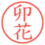 卯花