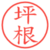 坪根