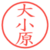 大小原