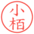 小栢