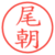 尾朝