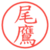尾鷹