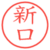 新口