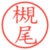 槻尾