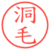 洞毛