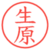 生原