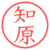 知原