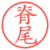 脊尾