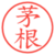 茅根