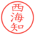 西海知