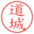道城