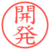 開発