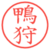 鴨狩