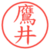 鷹井